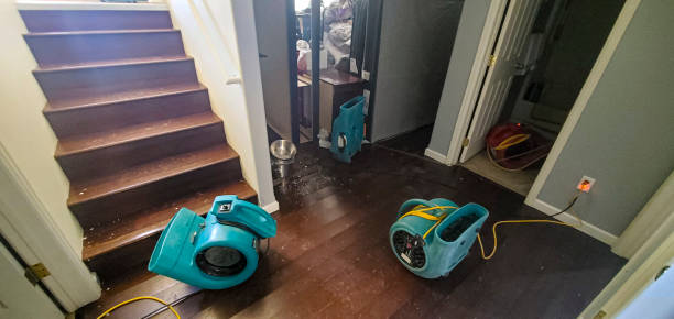 Best Flood damage cleanup  in , OR