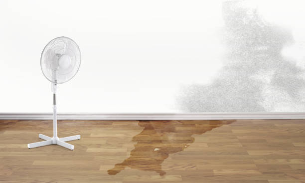 Best Water damage contractors near me  in , OR