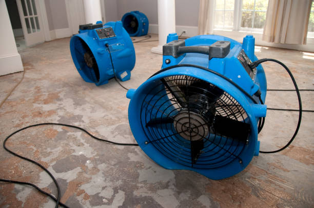 Best Water damage restoration near me  in , OR
