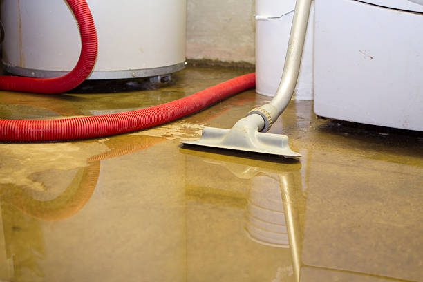 Best Professional water damage repair  in , OR
