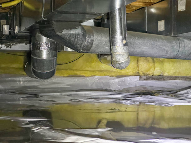 Best Flooded house restoration  in , OR