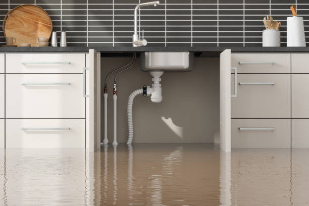 Best Sewage cleanup and water damage restoration  in , OR